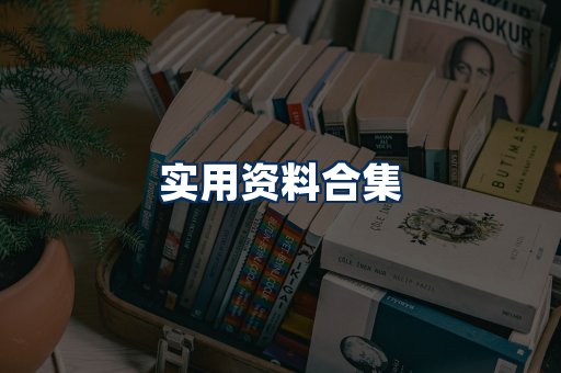 实用PDF资料展示
