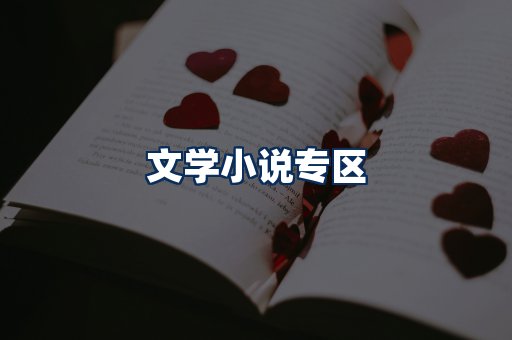 文学小说PDF展示